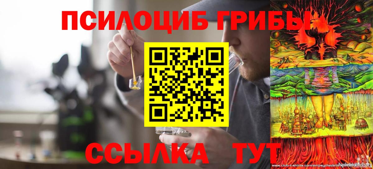 Галлюциногенные грибы MAGIC MUSHROOMS  магазин продажи наркотиков  Самара  Вход с VPN 